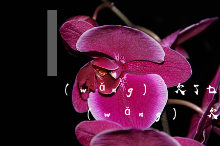 網(wǎng)貸欠了七八萬還不起了怎么辦(網(wǎng)貸欠8萬還不起咋辦)