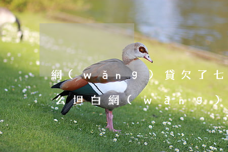 網(wǎng)貸欠了七萬(wàn)多怎么坦白(網(wǎng)貸七八萬(wàn)怎么和家人坦白)