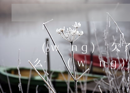 網(wǎng)貸欠了七萬(wàn)多腫么辦(網(wǎng)貸欠七萬(wàn)多怎么還)
