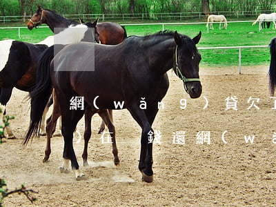 網(wǎng)貸欠了七萬多現(xiàn)在沒錢還(網(wǎng)貸欠七萬多怎么還)