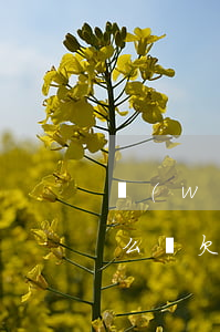 網(wǎng)貸欠了三千多五年不還會怎么樣(欠了網(wǎng)貸幾千塊三年沒還了)