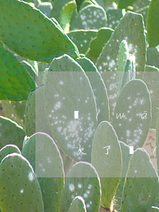 網(wǎng)貸欠了三年了要明天來上門(欠了網(wǎng)貸說要上門是真的嗎)