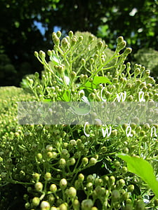 網(wǎng)貸欠了三年了還能起訴嗎(網(wǎng)貸欠了三年了還能起訴嗎)