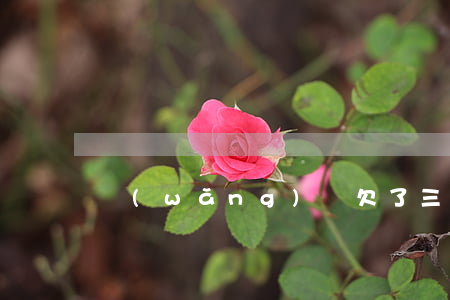 網(wǎng)貸欠了三年被起訴了怎么辦