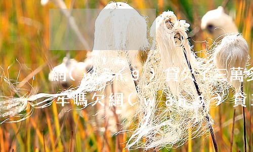 網(wǎng)貸欠了三萬多三年多了會坐牢嗎(欠網(wǎng)貸三萬多不還會坐牢嗎)
