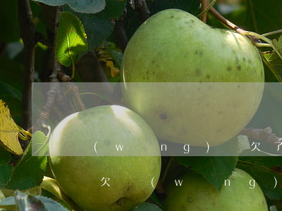 網(wǎng)貸欠了三萬多還不起了怎么辦(欠網(wǎng)貸三萬多現(xiàn)在還不上)