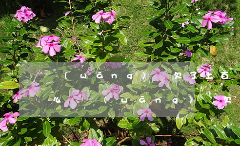 網(wǎng)貸欠了上百萬(wàn)怎么辦(網(wǎng)貸欠了上百萬(wàn)怎么辦)