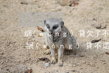 網(wǎng)貸欠了不還會怎樣(如果欠了網(wǎng)貸不還會怎么樣)