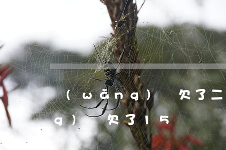 網(wǎng)貸欠了二十五萬(網(wǎng)貸欠了15萬)