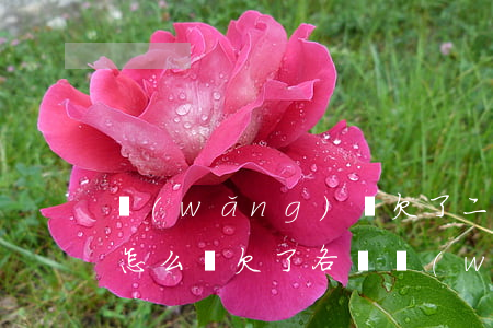 網(wǎng)貸欠了二十多萬(wàn)怎么辦(欠了各種網(wǎng)貸二十多萬(wàn)還不了)