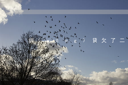 網(wǎng)貸欠了二十萬