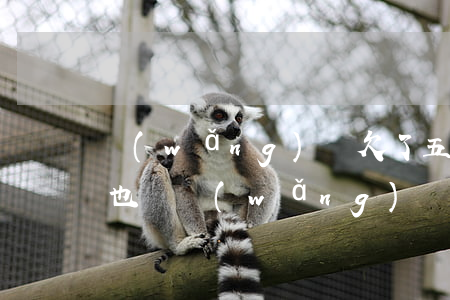 網(wǎng)貸欠了五六萬(wàn)我也煩(網(wǎng)貸欠了五六萬(wàn)我也煩)
