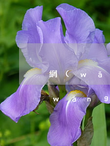 網(wǎng)貸欠了五六萬壓力好大(網(wǎng)貸欠了五六萬壓力好大)