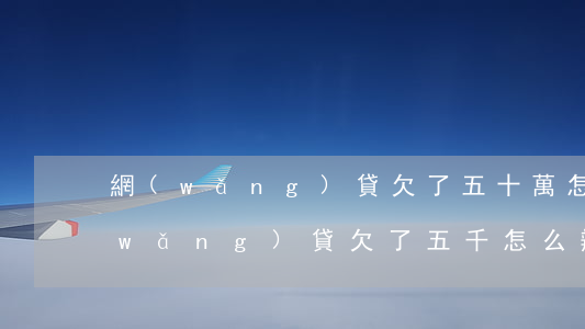 網(wǎng)貸欠了五十萬怎么償還(網(wǎng)貸欠了五千怎么辦)