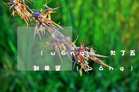 網(wǎng)貸欠了五萬(wàn)看不到希望(網(wǎng)貸一共欠了5萬(wàn))