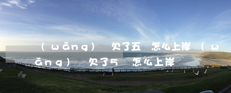 網(wǎng)貸欠了五萬怎么上岸(網(wǎng)貸欠了5萬怎么上岸)