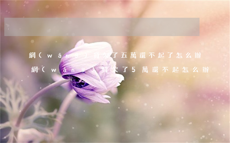 網(wǎng)貸欠了五萬還不起了怎么辦(網(wǎng)貸欠了5萬還不起怎么辦)