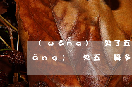 網(wǎng)貸欠了五萬還能貸嗎(網(wǎng)貸欠五萬算多嗎)