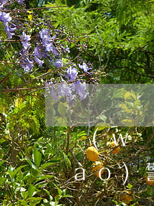 網(wǎng)貸欠了兩千多塊錢能報(bào)警處理嗎
