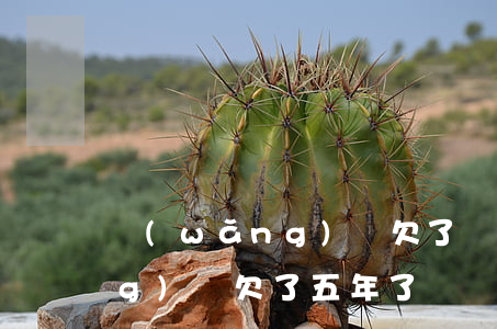 網(wǎng)貸欠了兩年多了(網(wǎng)貸欠了五年了)