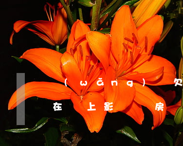 網(wǎng)貸欠了兩年現(xiàn)在還上影響買房嗎(一年前用過網(wǎng)貸都已經(jīng)還清了影響房貸嗎)