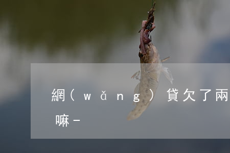網(wǎng)貸欠了兩萬三向鄰居借會借嘛-