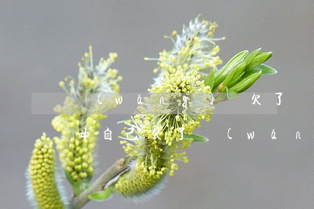 網(wǎng)貸欠了兩萬告訴父母(告訴父母自己欠了網(wǎng)貸)