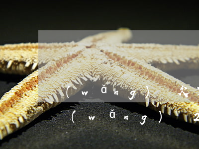 網(wǎng)貸欠了兩萬怎么和家里說(欠網(wǎng)貸2萬怎么跟家人說)