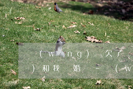 網(wǎng)貸欠了兩萬老公會(huì)和我離婚嗎-網(wǎng)貸欠了兩萬老公會(huì)和我離婚嗎知乎