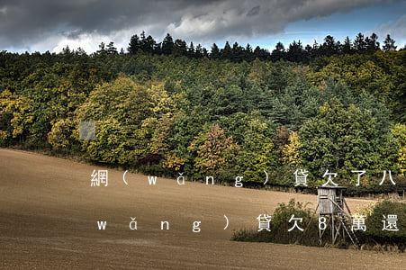 網(wǎng)貸欠了八萬我該怎么還(網(wǎng)貸欠8萬還不起咋辦)