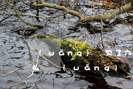 網(wǎng)貸欠了六萬(wàn)多怎么辦(網(wǎng)貸欠了六萬(wàn)多怎么辦)