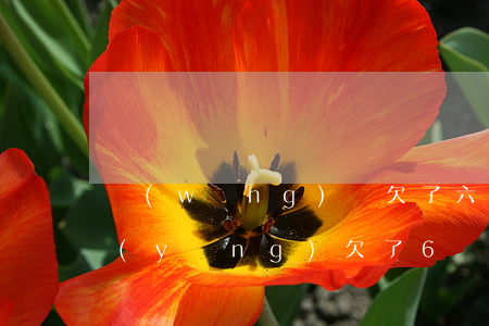 網(wǎng)貸欠了六萬有老婆孩子要養(yǎng)(欠了6萬網(wǎng)貸)