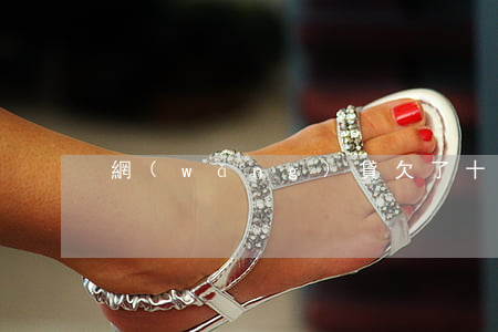 網(wǎng)貸欠了十三萬還不起怎么辦