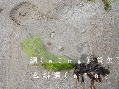 網(wǎng)貸欠了十五萬(wàn)怎么辦(網(wǎng)貸欠十幾萬(wàn)怎么辦)