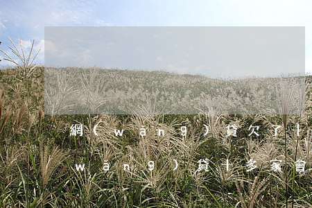 網(wǎng)貸欠了十多家十多萬(欠網(wǎng)貸十多家會(huì)怎么辦)
