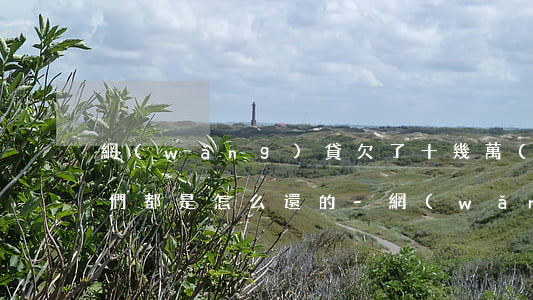 網(wǎng)貸欠了十幾萬(wàn)你們都是怎么還的-網(wǎng)貸欠了十幾萬(wàn)你們都是怎么還的呢