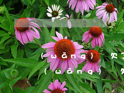 網(wǎng)貸欠了十幾萬不還會坐牢嗎(網(wǎng)貸欠幾萬沒錢還會不會坐牢)