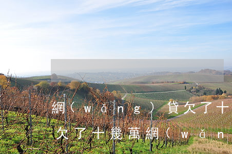 網(wǎng)貸欠了十幾萬怎么和家人說(欠了十幾萬網(wǎng)貸不敢跟家人說)