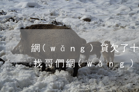 網(wǎng)貸欠了十萬(wàn)怎么找哥們(網(wǎng)貸欠十萬(wàn)怎么辦)