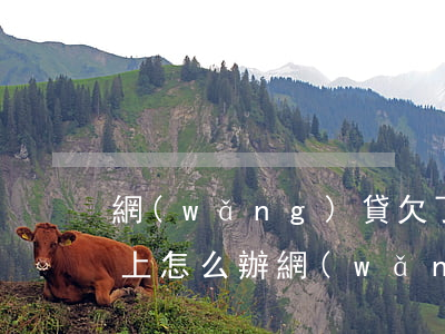 網(wǎng)貸欠了十萬(wàn)還不上怎么辦(網(wǎng)貸欠十多萬(wàn)還不起了怎么辦)