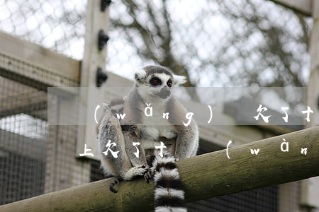 網(wǎng)貸欠了十萬(wàn)還不上(欠了十幾萬(wàn)網(wǎng)貸還不上不知道怎么辦)