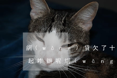 網(wǎng)貸欠了十萬(wàn)還不起咋辦呢(網(wǎng)貸十萬(wàn)還不起了,怎么辦?)