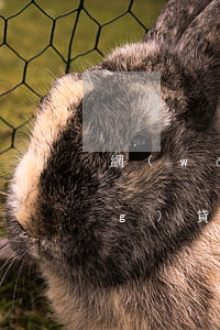 網(wǎng)貸欠了十萬多嗎(網(wǎng)貸欠了10多萬)