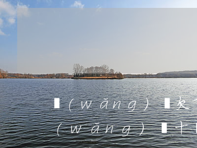 網(wǎng)貸欠了十萬 怎么坦白(欠了網(wǎng)貸十萬怎么辦)