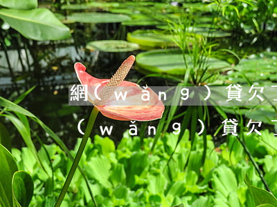 網(wǎng)貸欠了四十多萬會判刑嗎(網(wǎng)貸欠了40多萬)