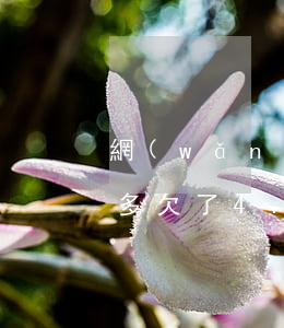 網(wǎng)貸欠了四萬(wàn)五千多(欠了4.5萬(wàn)網(wǎng)貸多嗎)
