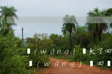 網(wǎng)貸欠了四萬多塊錢怎么辦(欠網(wǎng)貸四萬多還不起怎么辦)