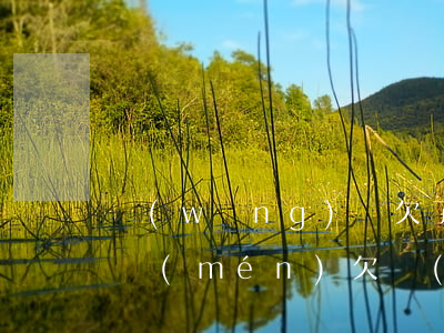 網(wǎng)貸欠了多少會(huì)上門(mén)(欠網(wǎng)貸的錢(qián)會(huì)不會(huì)上門(mén))