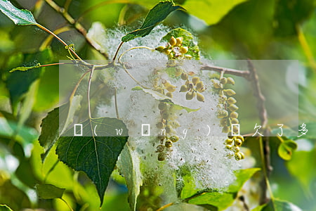 網(wǎng)貸欠了多少錢會上門