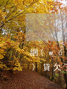 網(wǎng)貸欠了太多錢(網(wǎng)貸欠了太多錢怎么辦)
